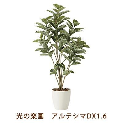 爆買 【個人様購入可能】●光の楽園 (2212A380-28) アルテシマ DX 1.6 送料無料 99460