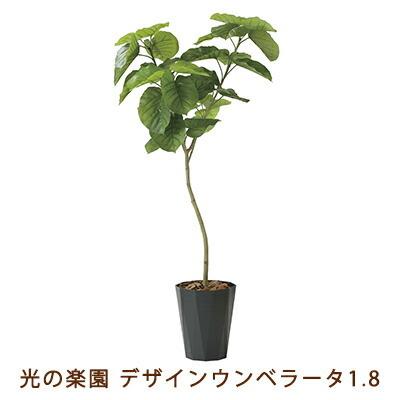 【人間様買いもとめる能力のある】●光のエデンの園 (2258K400-51) 絵図面 ウンベラータ 1.8 貨物輸送無料 99470 花、ガーデニング-造花、アートフラワー