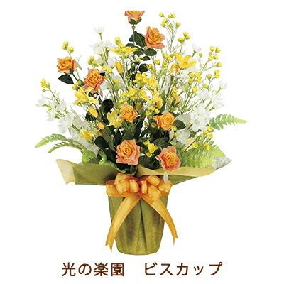 ●光の園 (2278A95-91) ビスカップ 送料無料 99525