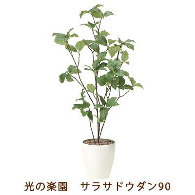 [今季注目 ] M9F63D3L715 (M9F63D3L715)