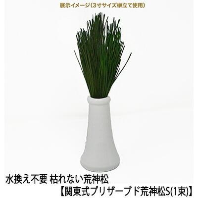【個人様購入可能】 (郵送) 水換え不要 枯れない 榊 関東式 プリザーブド 荒神松 S（1束） [KKJ-01S] A＆K 送料無料 ...