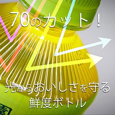 【法人・企業様限定販売】 伊藤園 おーいお茶 緑茶 600ml PET×48本(24本×2ケース) 送料無料 49965｜kyoto33｜05