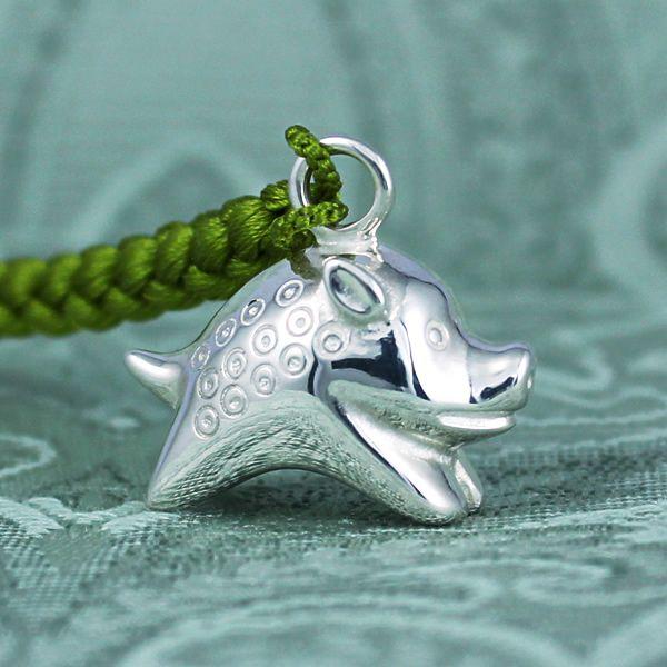 ⑥マユハケオモト ピンク 2球 球根大 マユハケオモト球根のおすすめ