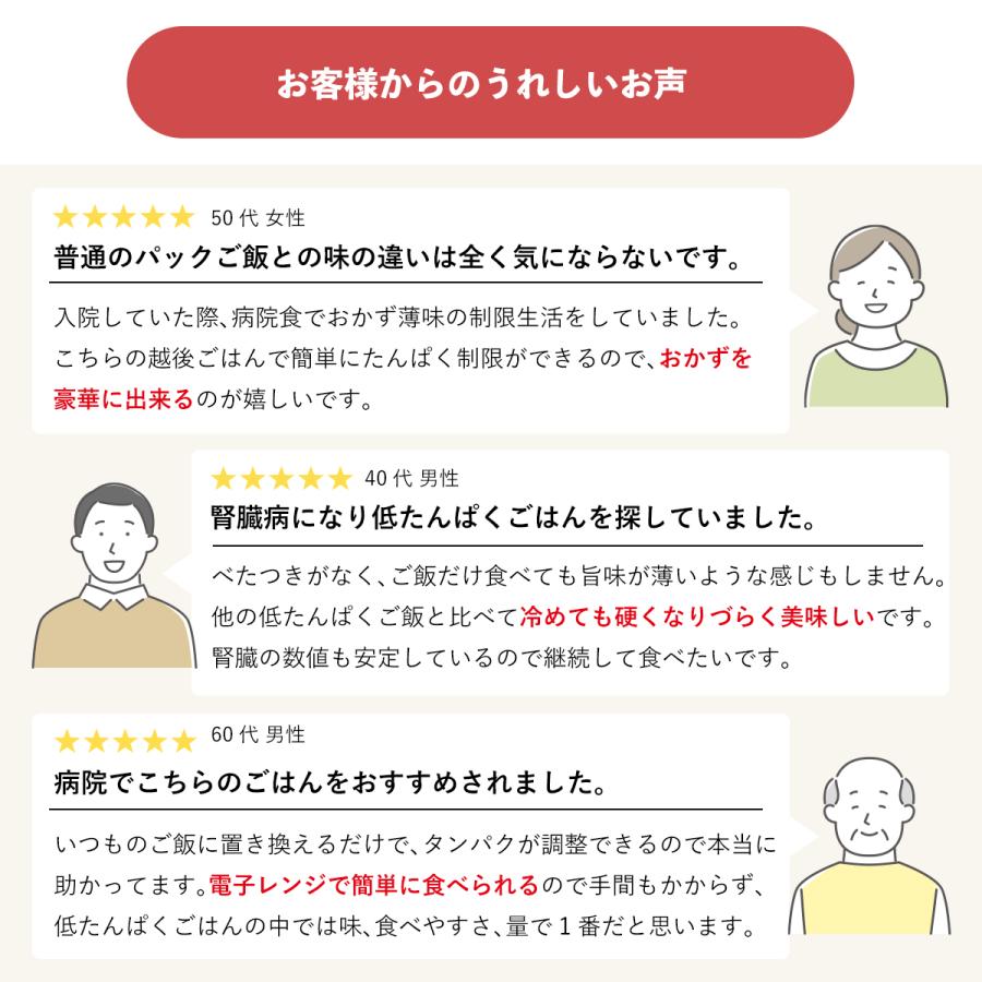 低たんぱく米 越後のパックごはん 4種おためしセット 腎臓病食 低