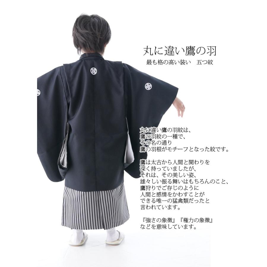 京都瑠璃雛菊 七五三 男の子 3歳 5歳 着物 フルセット 袴 無地 京都瑠璃雛菊 七五三 男の子 3歳 5歳 着物 フルセット 袴 無地