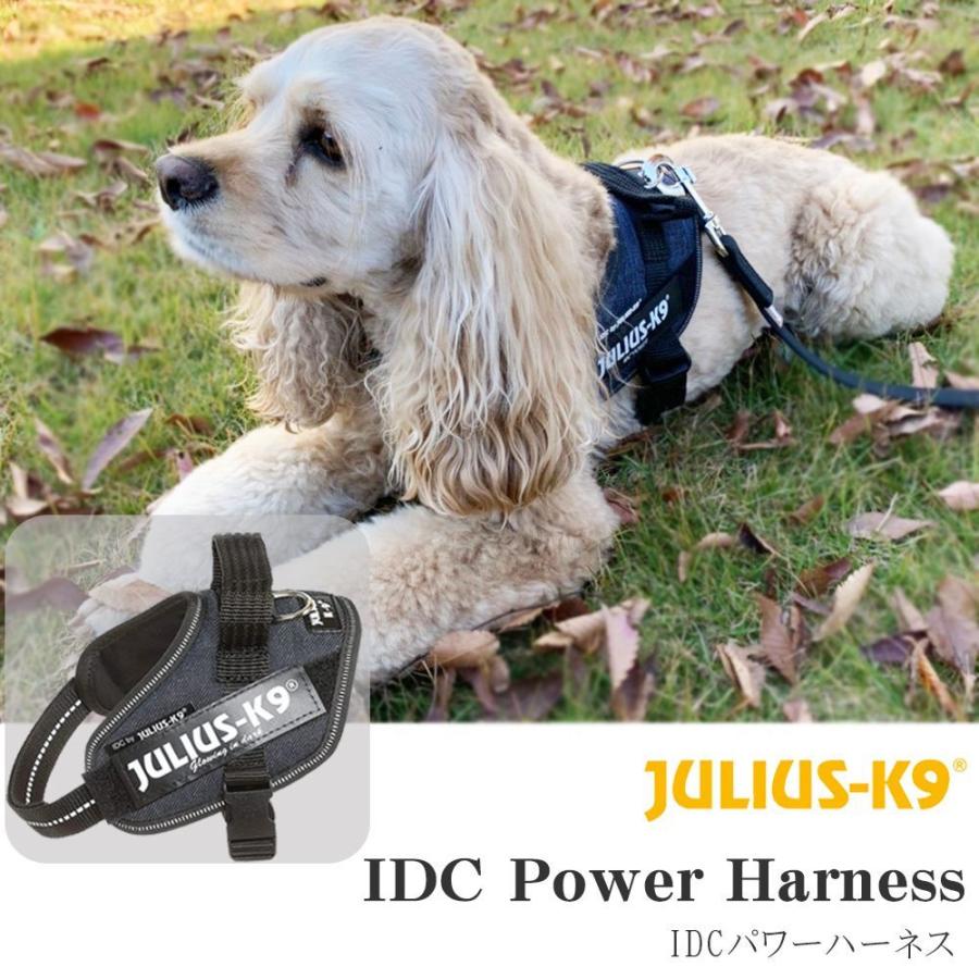 Julius K9 ユリウスケーナイン Idcパワーハーネス デニム 犬用 Eu製 サイズ Mini Minimini ペット お散歩 フィット感no１ 頭から装着 Jk9h Pwdbl One And Only 通販 Yahoo ショッピング
