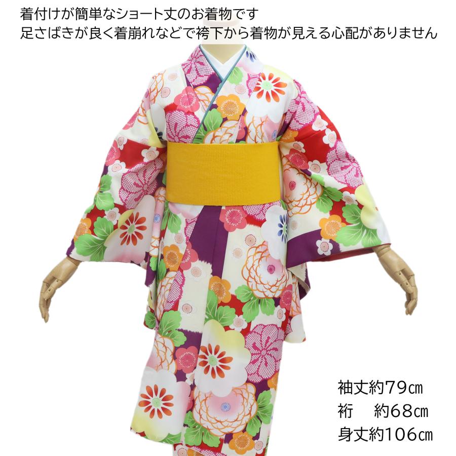 袴 着物 二尺袖 小振袖 中古 単品 リサイクル 格安 美品 仕立て上がり