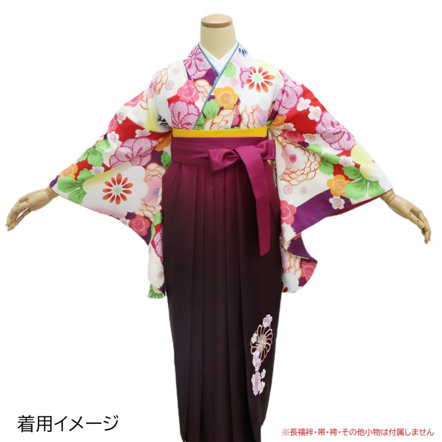 袴 着物 二尺袖 小振袖 中古 単品 リサイクル 格安 美品 仕立て上がり