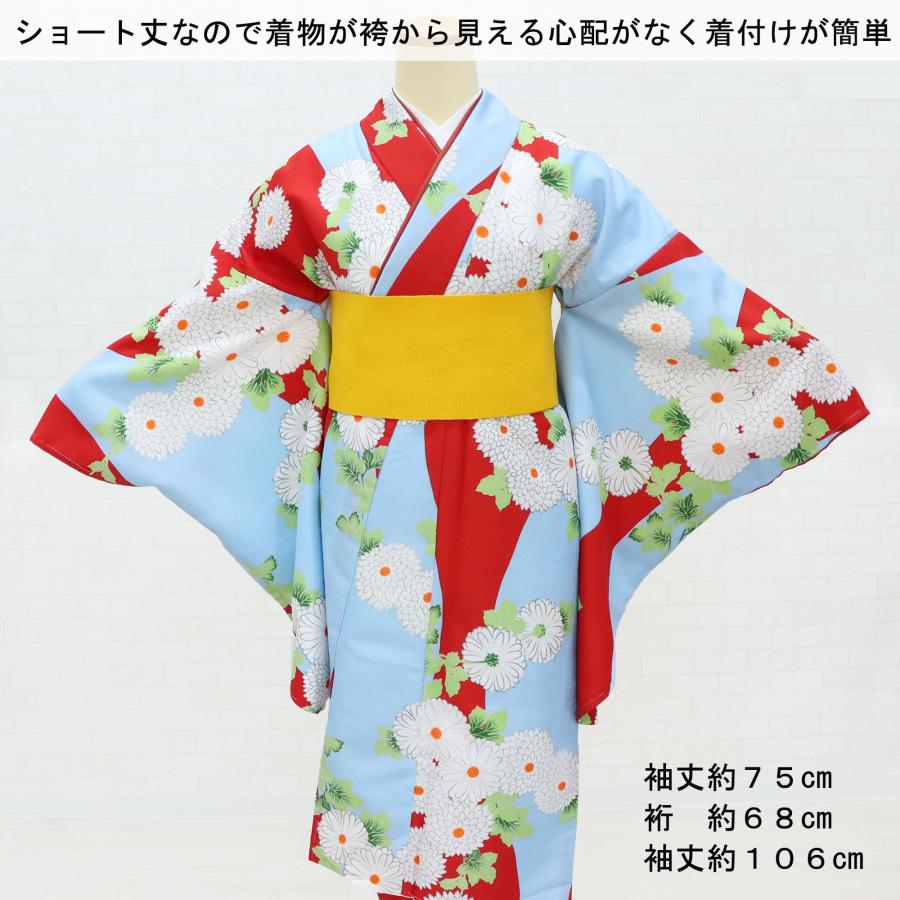卒業小振り袖(未使用)・袴 ② 【公式通販】