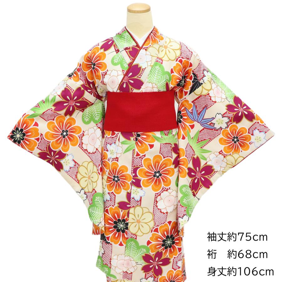 袴用きもの 二尺袖 小振袖 中古 単品 リサイクル 格安 美品 仕立て