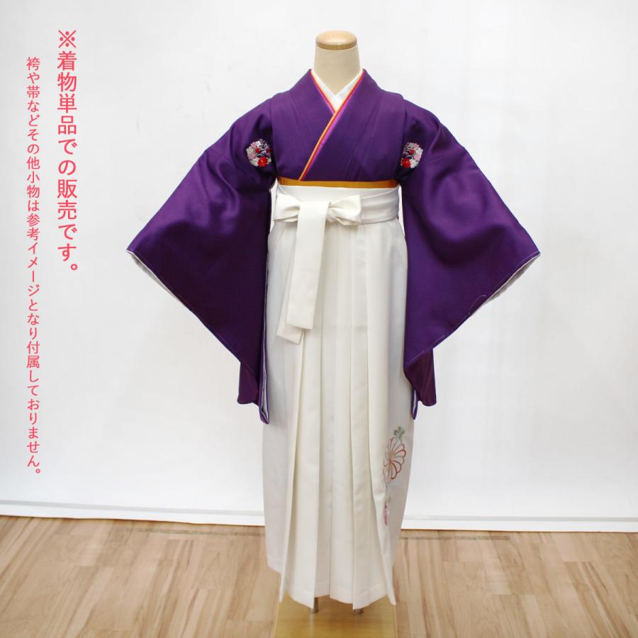 袴用きもの 二尺袖 着物 小振袖 中古 単品 リサイクル 美品 仕立て  