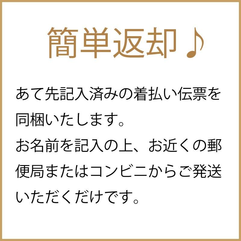 hiro0314♡⭐︎訪問着セット【245】披露宴　お宮参りなど kyou-ka_hr013