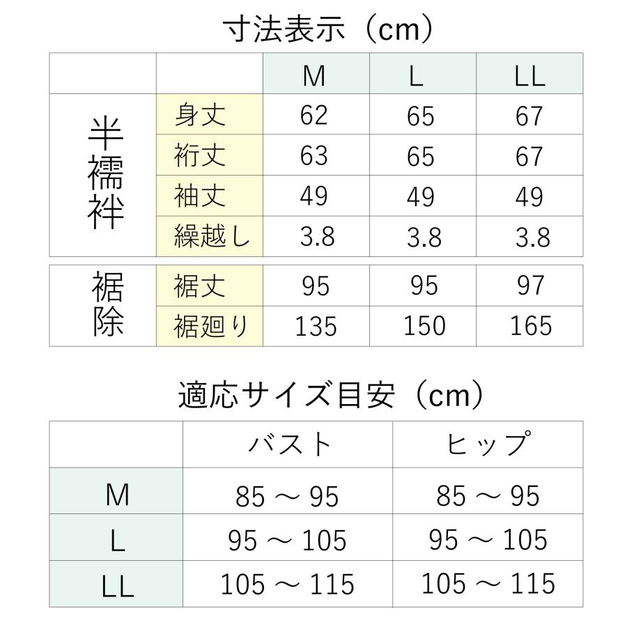 長襦袢 洗える 二部式 日本製 井登美 お洒落 色つき M/L 半襦袢 裾除け