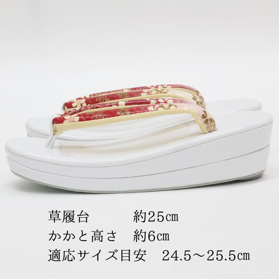 草履バッグセット 成人式 振袖用 2L LL 大きいサイズ 24.5 25 25.5cm