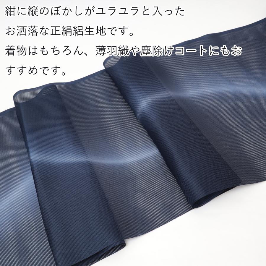 B反訳あり 正絹 絽 小紋 着尺 生地 反物 夏 着物 羽織 塵除け B反訳あり 正絹 絽 小紋 着尺 生地 反物 夏 着物 羽織 塵除け