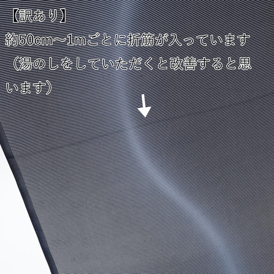 B反訳あり 正絹 絽 小紋 着尺 生地 反物 夏 着物 羽織 塵除け B反訳あり 正絹 絽 小紋 着尺 生地 反物 夏 着物 羽織 塵除け