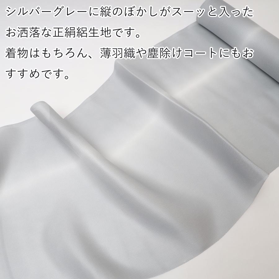 B反訳あり 正絹 絽 小紋 着尺 生地 反物 夏 着物 羽織 塵除けコート用