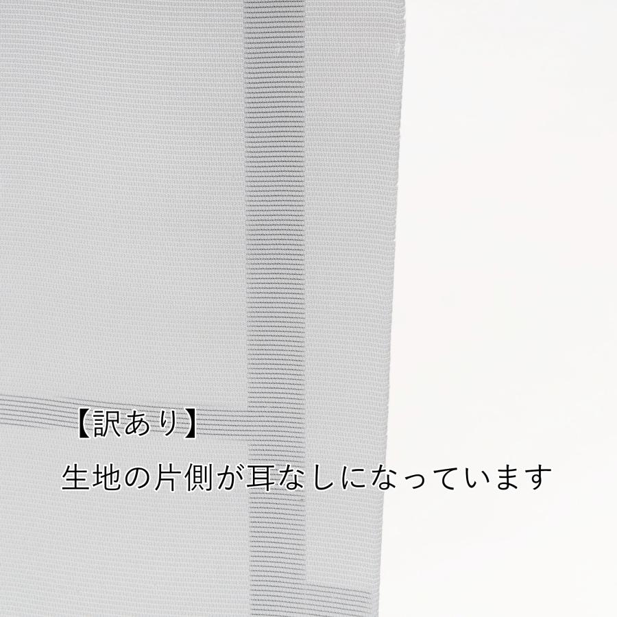 B反訳あり 正絹 絽 小紋 着尺 生地 反物 夏 着物 羽織 塵除けコート用