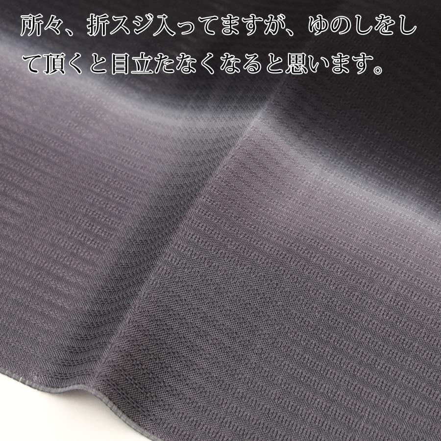 B反訳あり 正絹 絽 小紋 着尺 生地 反物 夏 着物 夏用 羽織 塵除け