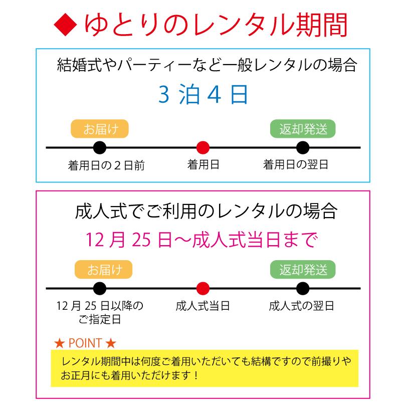 振袖レンタル 安い 一式 フルセット 結婚式 婚礼 披露宴 前撮り 高級 着物 格安 呉服屋 大きいサイズ ゆったり 紫 梅 雪輪 NR-162｜kyou-ka｜11