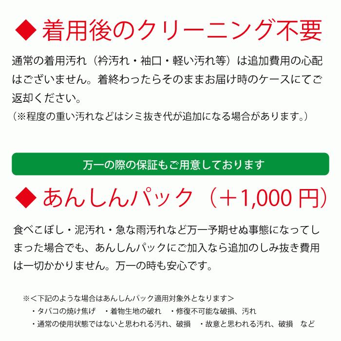 振袖 レンタル 成人式 1月 紫 身長 二十歳の集い 晴れ着 着物 フルセット 正絹 高品質 安い 貸衣装 紫 小豆紫 栗紫 百合 牡丹 古典 モダン NR-260_11