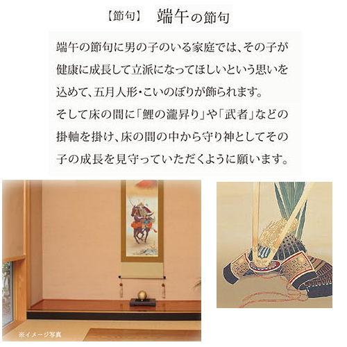 掛け軸 掛軸 菖蒲に兜 富岡蘇峰 尺五立 54.5×190cm 桐箱収納 端午の節句 五月人形 菖蒲 兜 こどもの日 日本製 タペストリー インテリア 床の間 縁起 開運 男子の画像