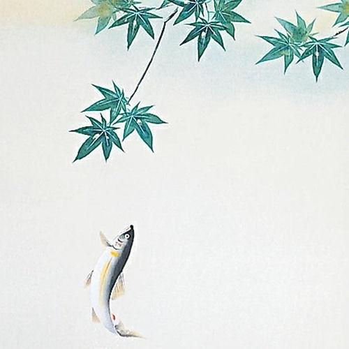 掛け軸 掛軸 登り鮎 荒川里史 尺五立 54.5×190cm 桐箱収納 夏掛け 鮎 渓流 香魚 あゆ 楓 タペストリー 棒付き 日本製 インテリア 床の間 清涼感 花鳥風月の画像