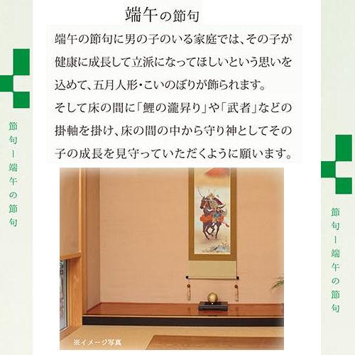 掛け軸 掛軸 武者 河村東陽 尺五立 54.5×190cm 桐箱収納 端午の節句