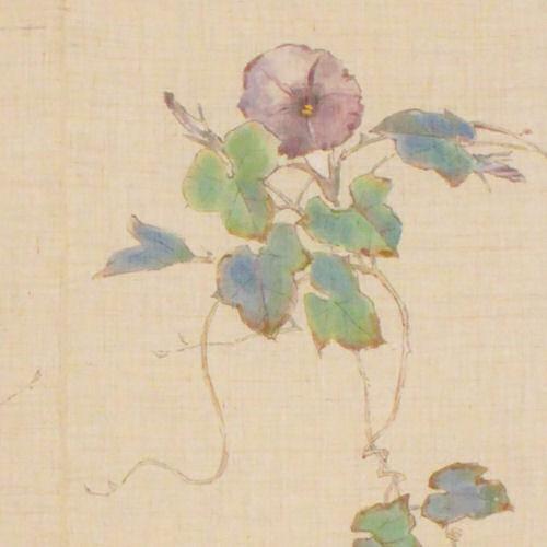 麻のれん 「朝顔」 鈎勒描きのれん 手描きのれん 万葉舎 のれん ロング