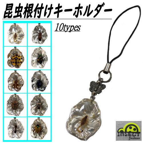 昆虫 根付け Insect fashion キーホルダー こんちゅう 虫 モチーフ 根 
