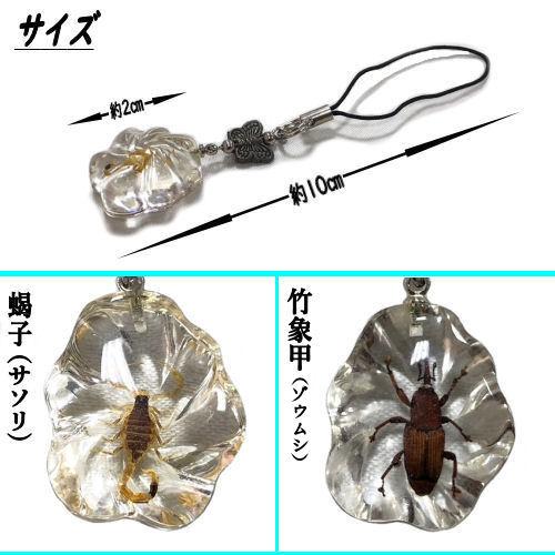 昆虫 根付け Insect fashion キーホルダー こんちゅう 虫 モチーフ 根