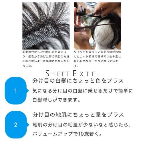 シートエクステ トップエクステンション テープ式 ワンタッチ ヘア