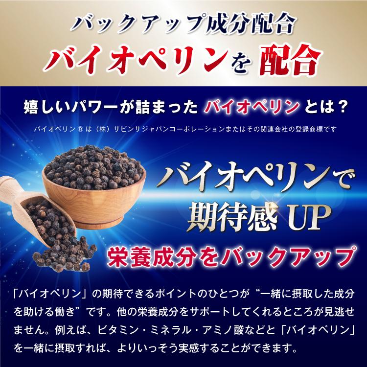 プロキオン エールマカ procyon 黒マカ ウコン シトルリン 亜鉛 バイオ 