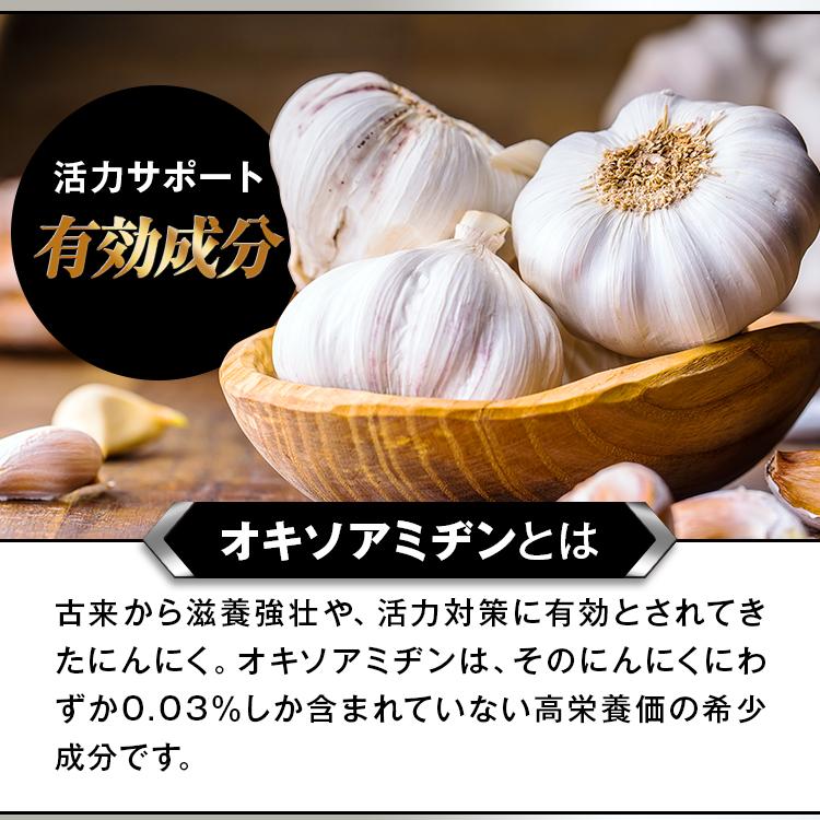 新品 未開封 プロキオン60粒 3箱セット 90日分 滋養強壮 サプリ ⑥