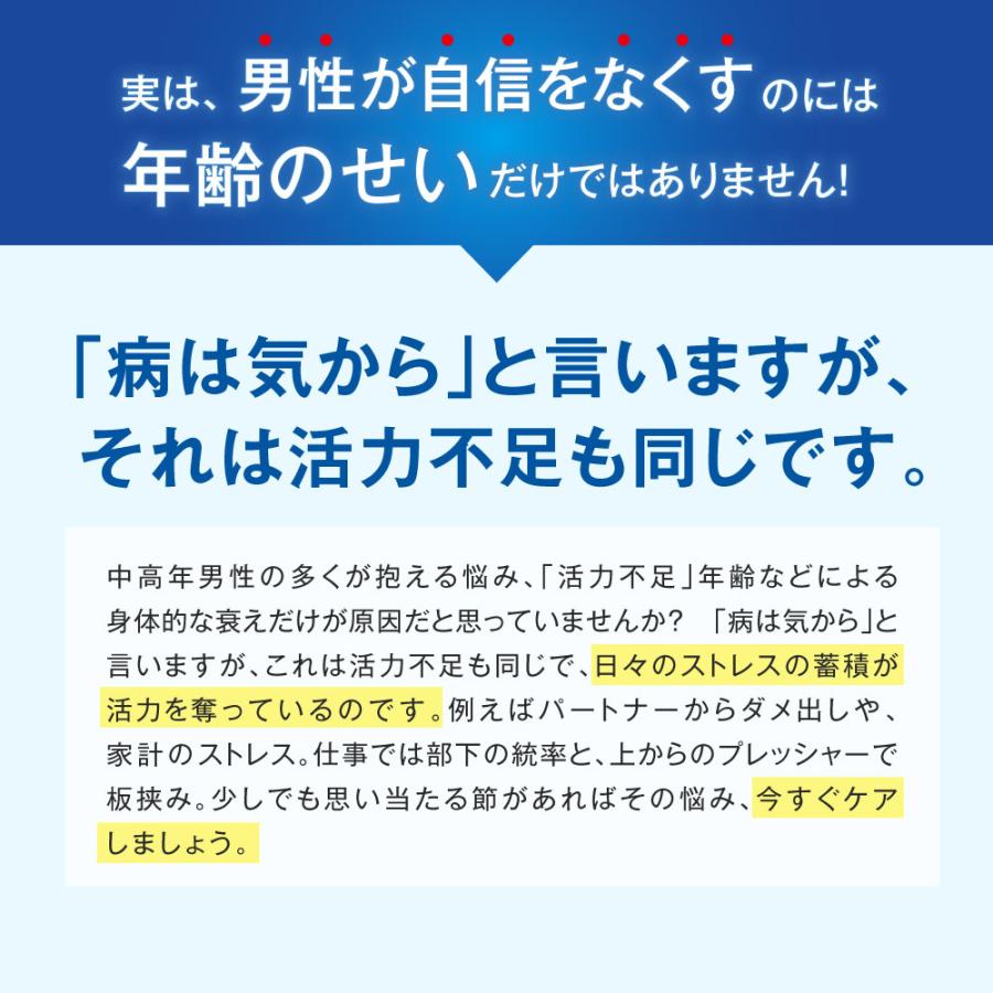 京福堂 公式】プロキオン V&βサポート 30日分 男性 活力ケア 京福堂 公式】プロキオン V&βサポート 30日分 男性 活力ケア