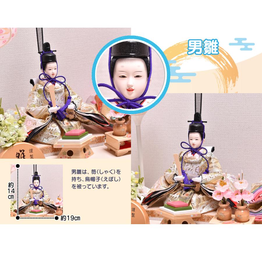 雛人形 ひな人形 アクリルケース飾り「乃愛（のあ）」間口53cm ケース