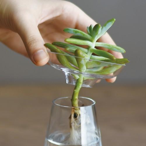 青緑色の陶器製花瓶と多肉植物*3 多肉植物・観葉植物・盆栽用 山野草・ミニ盆栽に合う水色&紫色