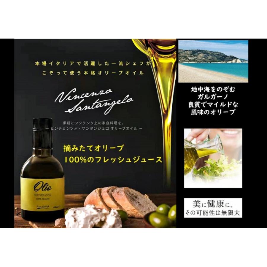 エキストラバージンオリーブオイル 250ml 南イタリア ガルガーノ産 ドレッシング Exvオリーブオイル イタリア産 京和通商 Wtc001 京和通商 通販 Yahoo ショッピング