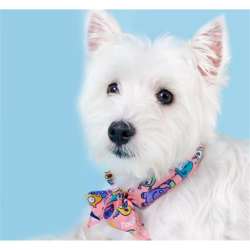 354円 史上一番安い クールリング アイスリング 犬 冷感 バンダナ お散歩 ネック クール 首もと冷却 夏用品 ひんやり 熱中症対策グッズ ネッククーラー