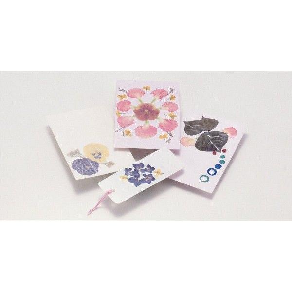 教材 自由研究観察押し花セット A 教材自立共和国ヤフーショップ 通販 Yahoo ショッピング