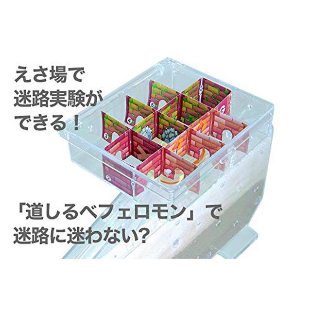 学研 ふしぎの国のアリのすハウス (2色の砂入り) 自由研究 ありの巣