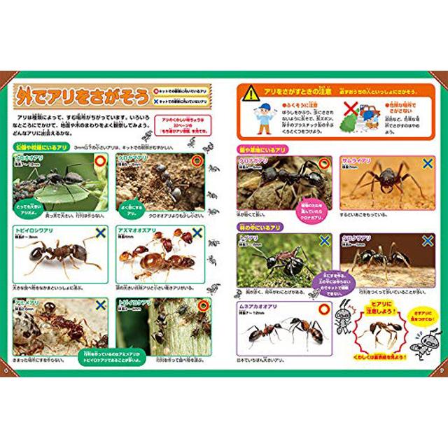 学研 ふしぎの国のアリのすハウス (2色の砂入り) 自由研究 ありの巣