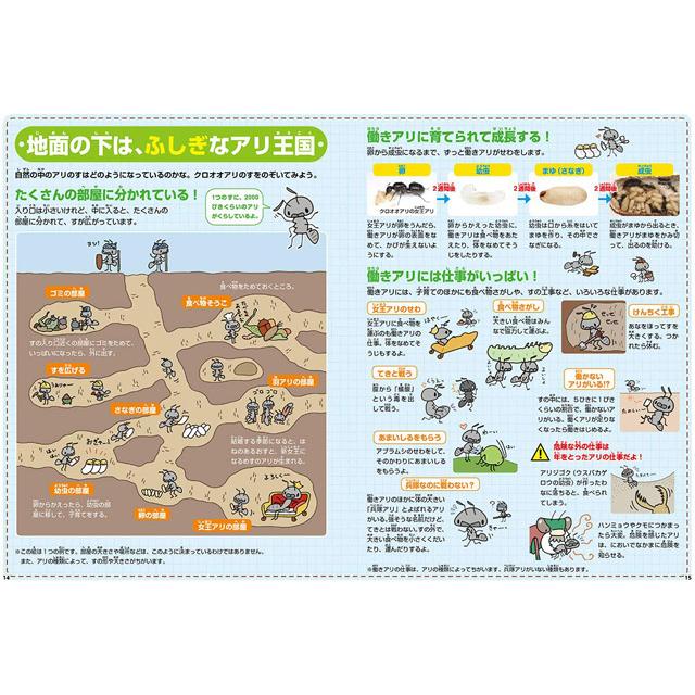 学研 自由研究 ふしぎの国のアリのすハウス J Gakken J 教材自立共和国ヤフーショップ 通販 Yahoo ショッピング
