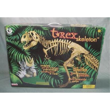T-REX骨格組立キット（大）ティラノサウルスレックス : 教材自立
