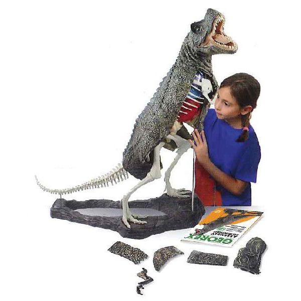 恐竜　ティラノサウルス　1/20 骨格模型　T・REX　 T・レックス　(疾走姿 プラノサウルス JURASSIC WORLD T-レックス (プラモデル