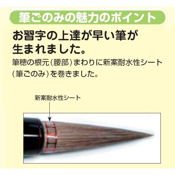 教材 書道 書道筆 太筆（天真）筆ごのみ付き : 教材自立共和国ヤフー