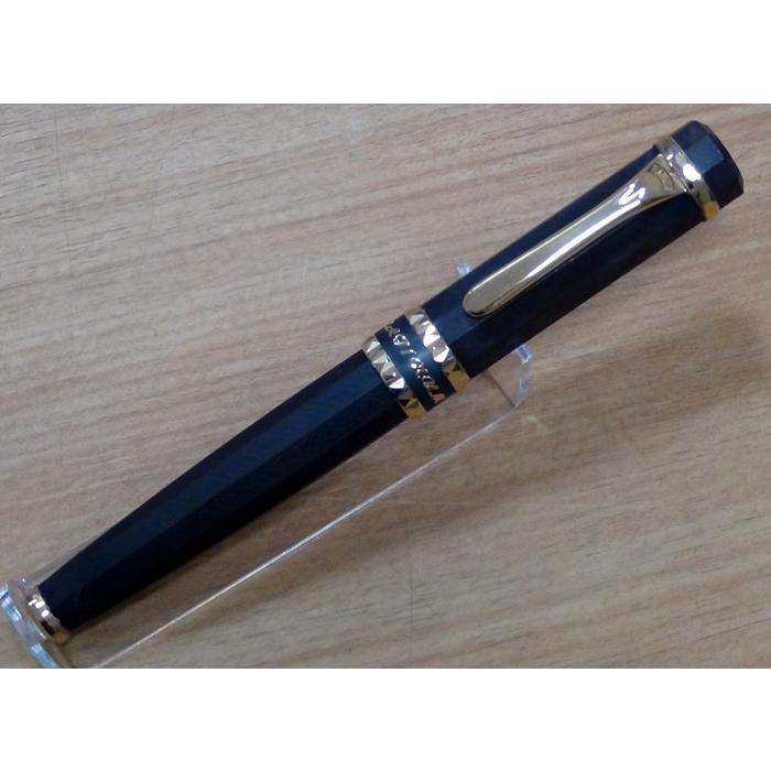 Platinumプラチナ 西暦二千年記念限定万年筆 PY2K-100000-1-4