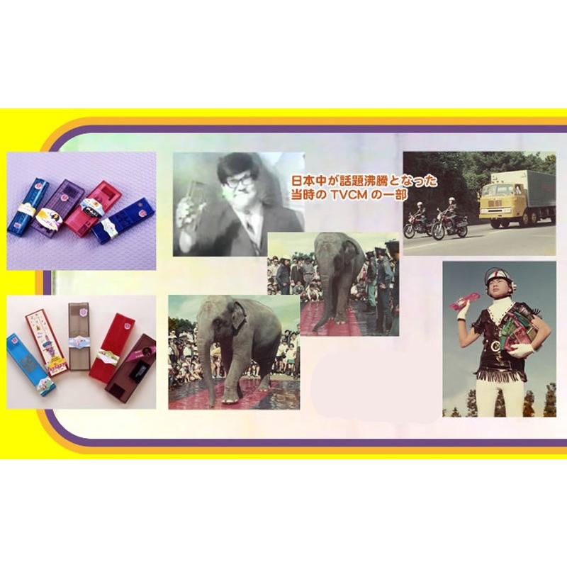 サンスター文具 教材 ペンケース 「象が踏んでも壊れない」『ARMアーム