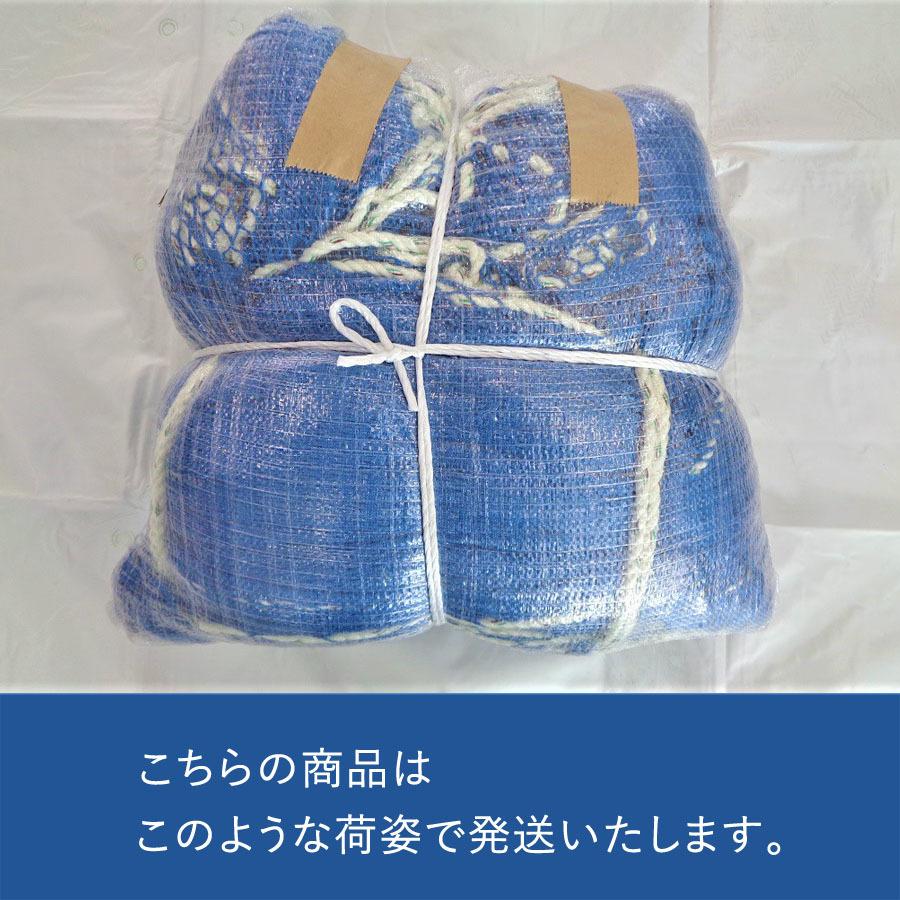 キョーワ 防炎ラッセル安全ネット15mm目合 ブルー 3m×6m : キョーワ