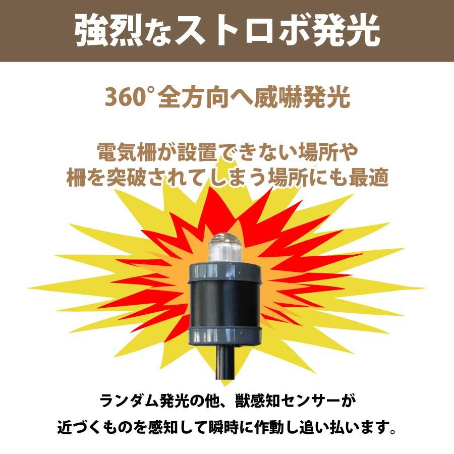 タカハシマホ「縁起熊手　UME」 縁起熊手 UME by タカハシマホ | 現代アートの販売・通販